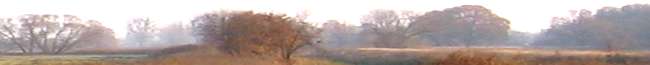 2_herbst.jpg
